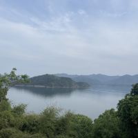 評論圖片 2