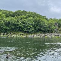評論圖片 7