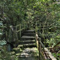 評論圖片 2