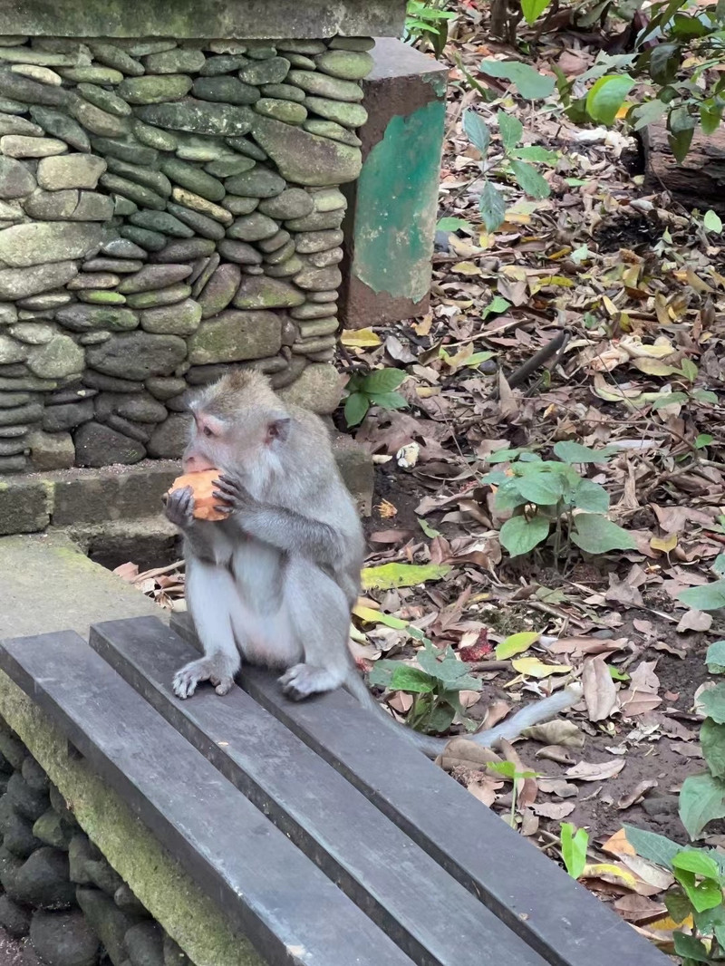 聖猴森林公園用戶評價
