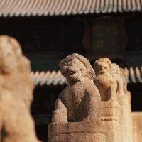 評論圖片 4
