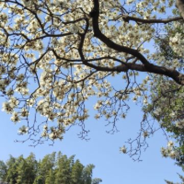 評論圖片 3