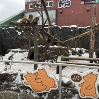 評論圖片 6