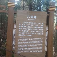 評論圖片 8