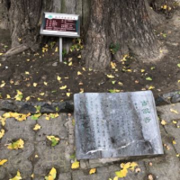 評論圖片 9