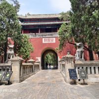 評論圖片 8