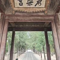評論圖片 8