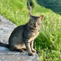 評論圖片 7