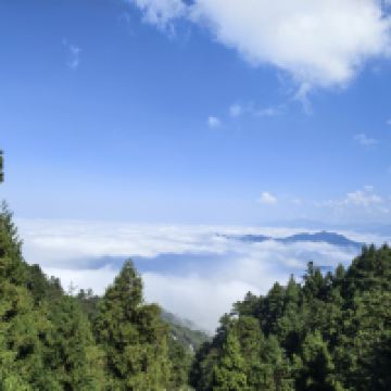 評論圖片 4