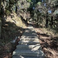 評論圖片 3
