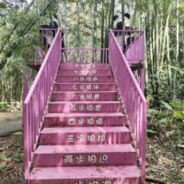 評論圖片 2