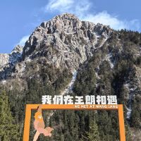 評論圖片 5