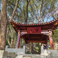 評論圖片 6