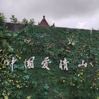 評論圖片 3