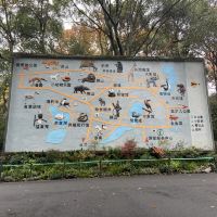 評論圖片 7