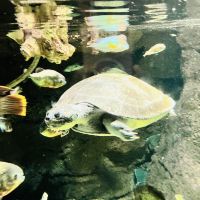 評論圖片 3