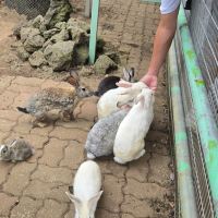 評論圖片 3