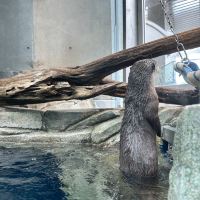 評論圖片 8
