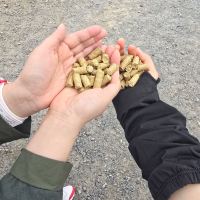 評論圖片 5