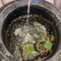 評論圖片 1