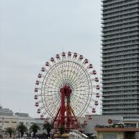 評論圖片 2
