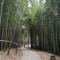 評論圖片 5