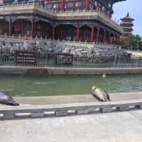 評論圖片 5