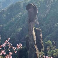 評論圖片 4