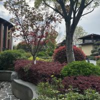 評論圖片 3