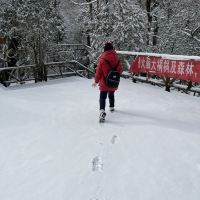 評論圖片 7