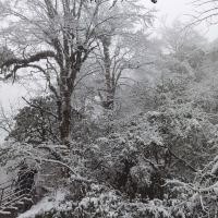 評論圖片 2