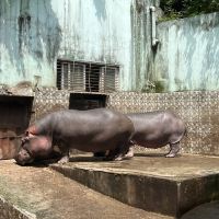 評論圖片 6