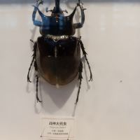 評論圖片 5