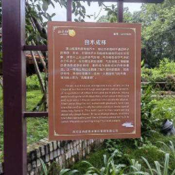 評論圖片 1