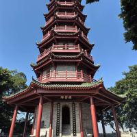 評論圖片 5