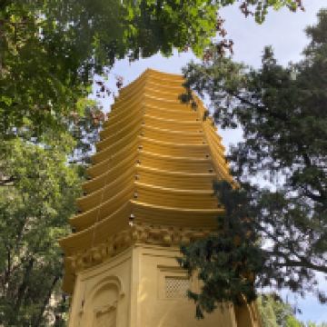 評論圖片 4