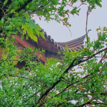 評論圖片 2
