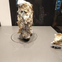 評論圖片 5