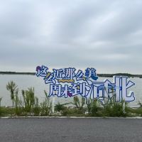 評論圖片 3
