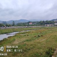 評論圖片 5