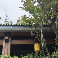 評論圖片 7