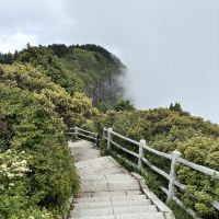 評論圖片 4