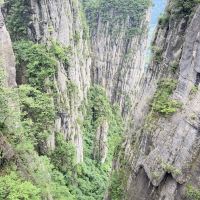 評論圖片 6