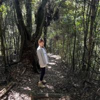 評論圖片 8