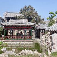 評論圖片 2