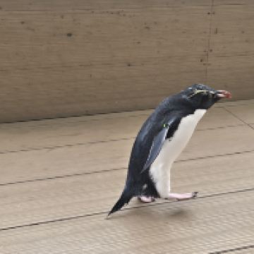 評論圖片 7