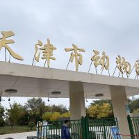 評論圖片 1