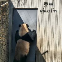 評論圖片 3