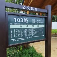 評論圖片 2