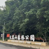 評論圖片 1